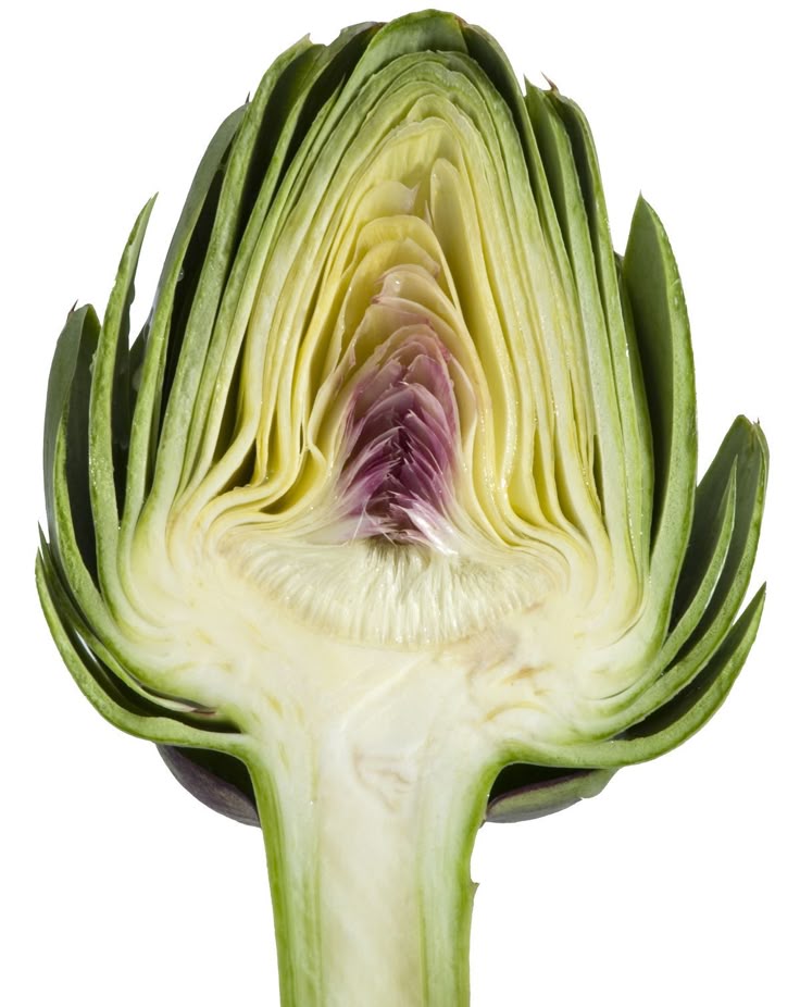 Cynara Scolymus (Artichoke) Leaf Extract