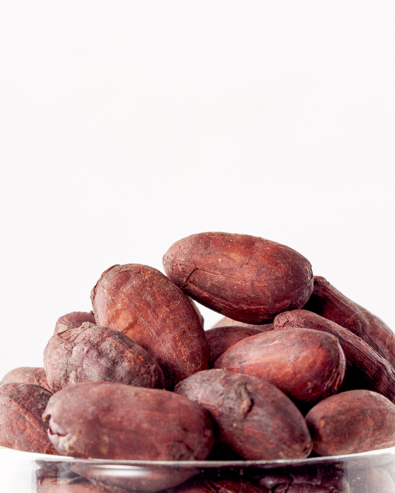 Theobroma Cacao (Cocoa) Seed Extract